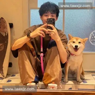柳琴果